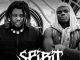 Vicoka Ft. Wizard Chan – Spirit