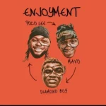 Poco Lee ft. Mavo & Diamond Boy – Enjoyment Poco Lee ft. Mavo, Diamond Boy – Enjoyment