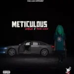 Chella Ft. Young Clique – Meticulous